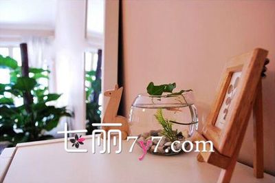 临海市顶赞水族店 专业水族用品与日用杂品的完美融合